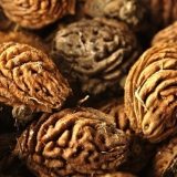 Kako uzgojiti breskvu iz sjemenki kod kuće